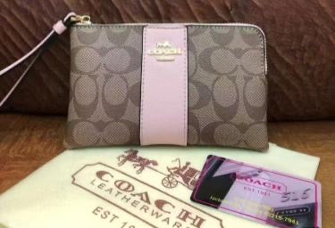 Cartera de Mano / Wristlet Elegante